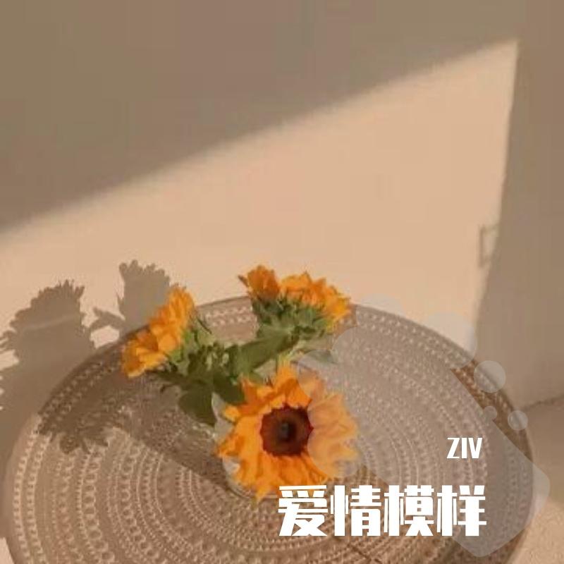 爱情模样封面