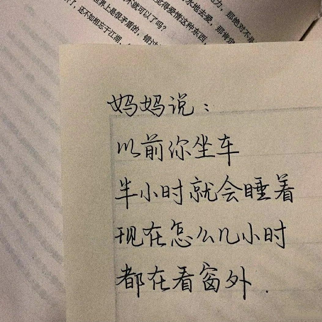 皆过往封面