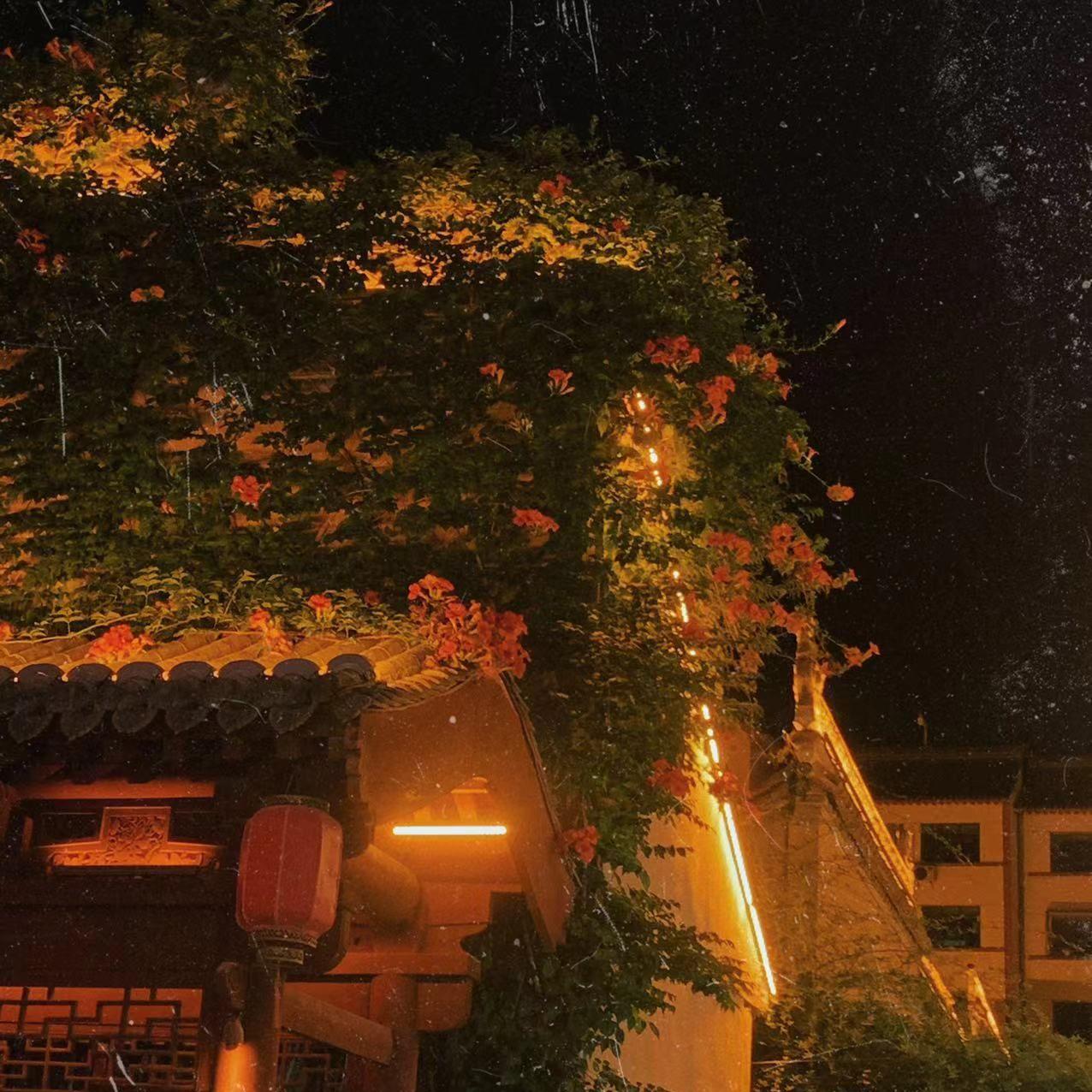 断了轮回(这一世爱了个陈世美）封面