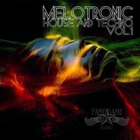 Melotronic House and Techno, Vol. 1