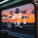 分手谎言（DJ豪大大版）专辑