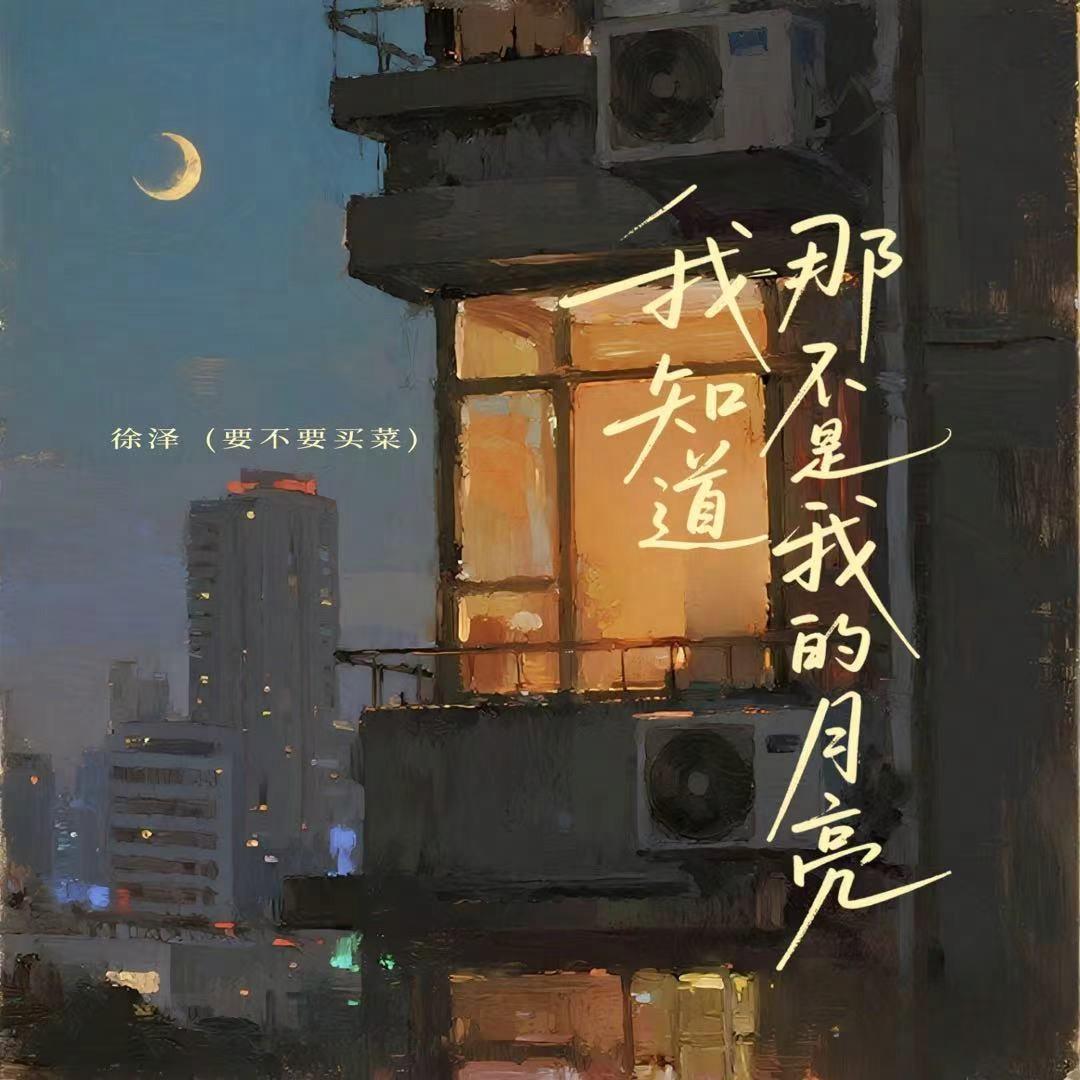 我知道那不是我的月亮_徐泽（要不要买菜）_我知道那不是我的月亮 | 在线播放_我知道那不是我的月亮歌词_我知道那不是我的月亮下载 | 网易云音乐