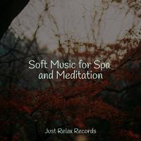 Soft Music for Spa and Meditation