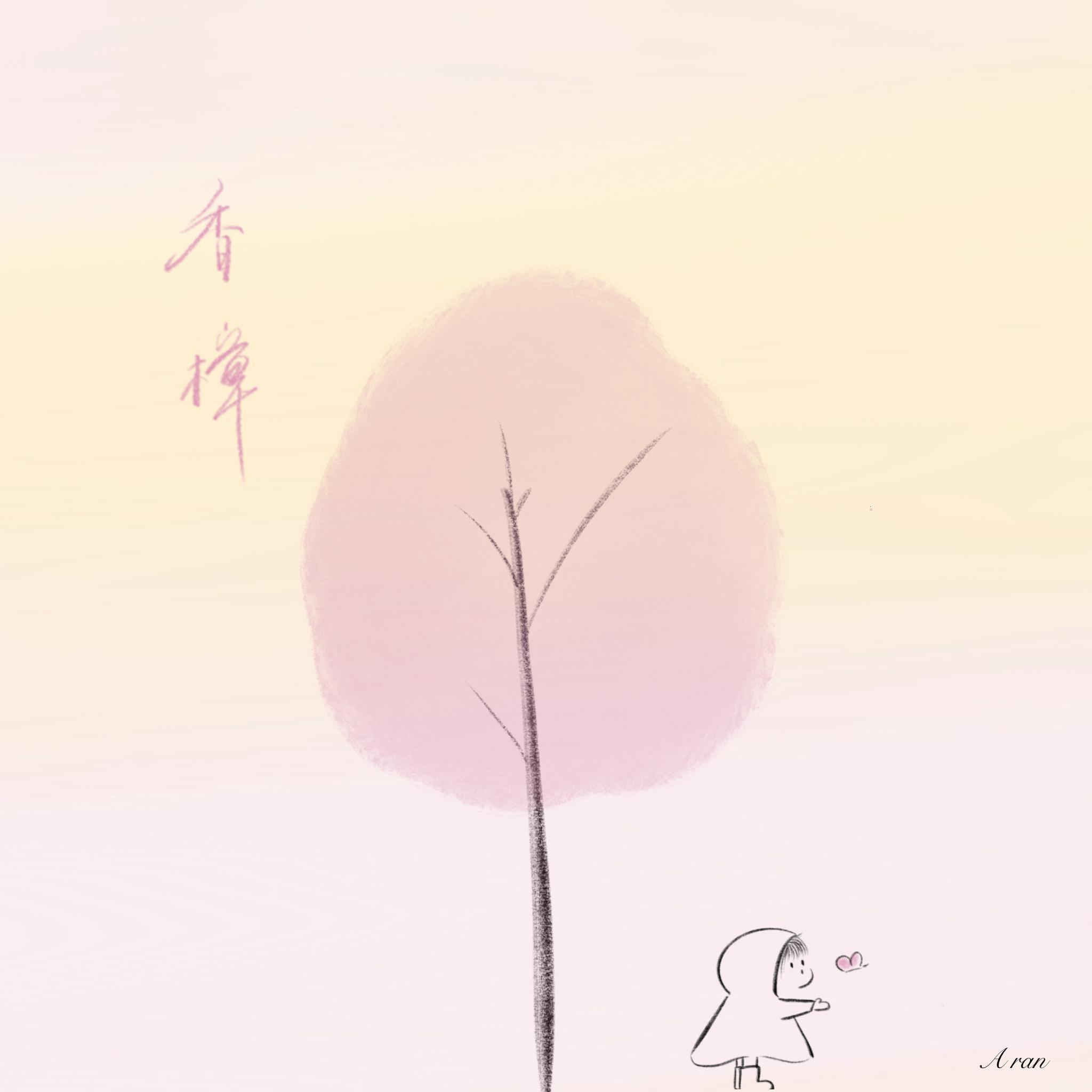 香樟封面