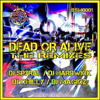 Dead Or Alive: The Remixes