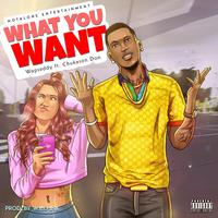 What You Want (feat. Chukason Don)