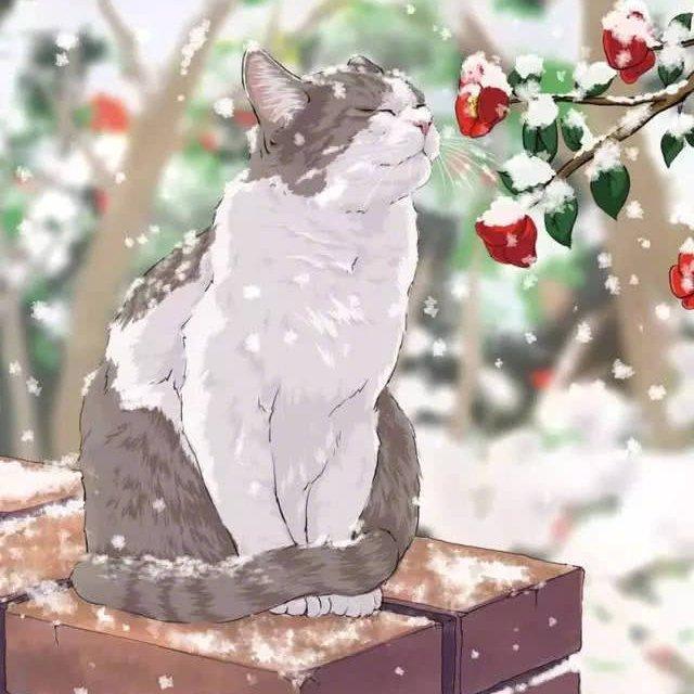 一直国庆一直爽