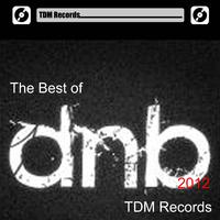 Best of Drum and Bass 2012 - TDM Records