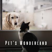 Pet's Wonderland: Tranquil Rain with Relaxing Sounds