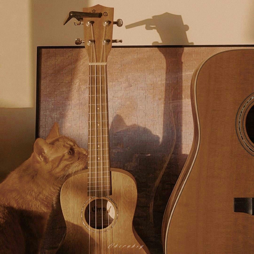 〔吉他与猫〕当夕阳的余晖落在琴弦上