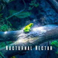 Nocturnal Nectar: Light Rain and Frog Melodies for Sleep