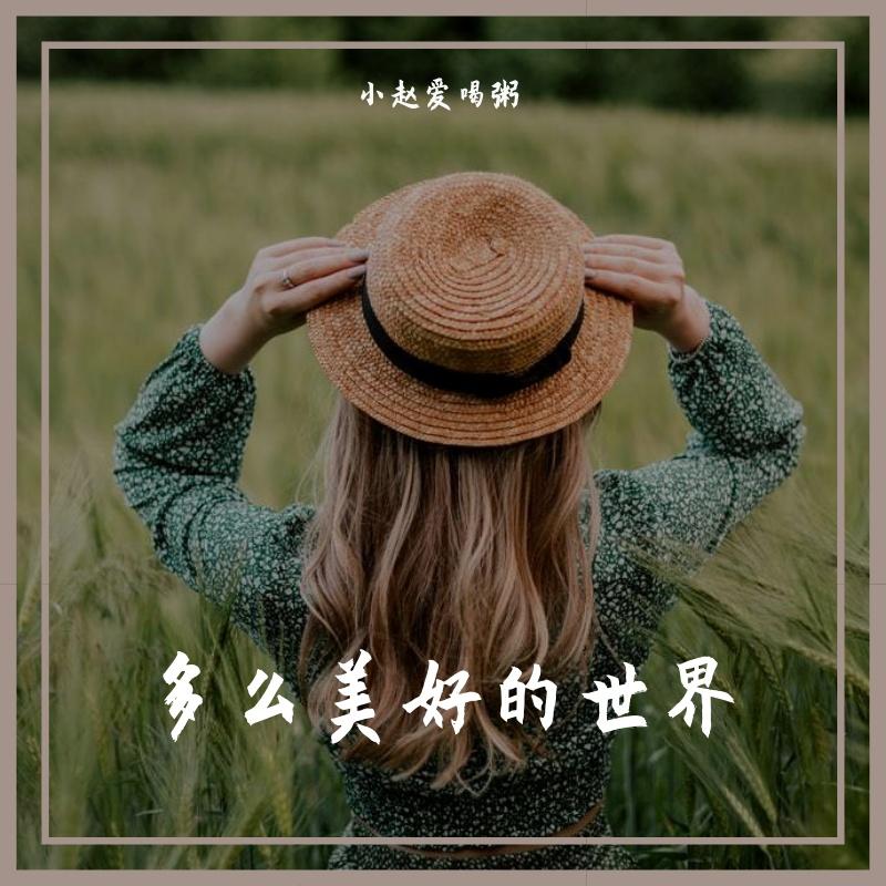 这个世界多美好