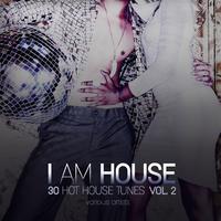 I Am House (30 Hot House Tunes), Vol. 2