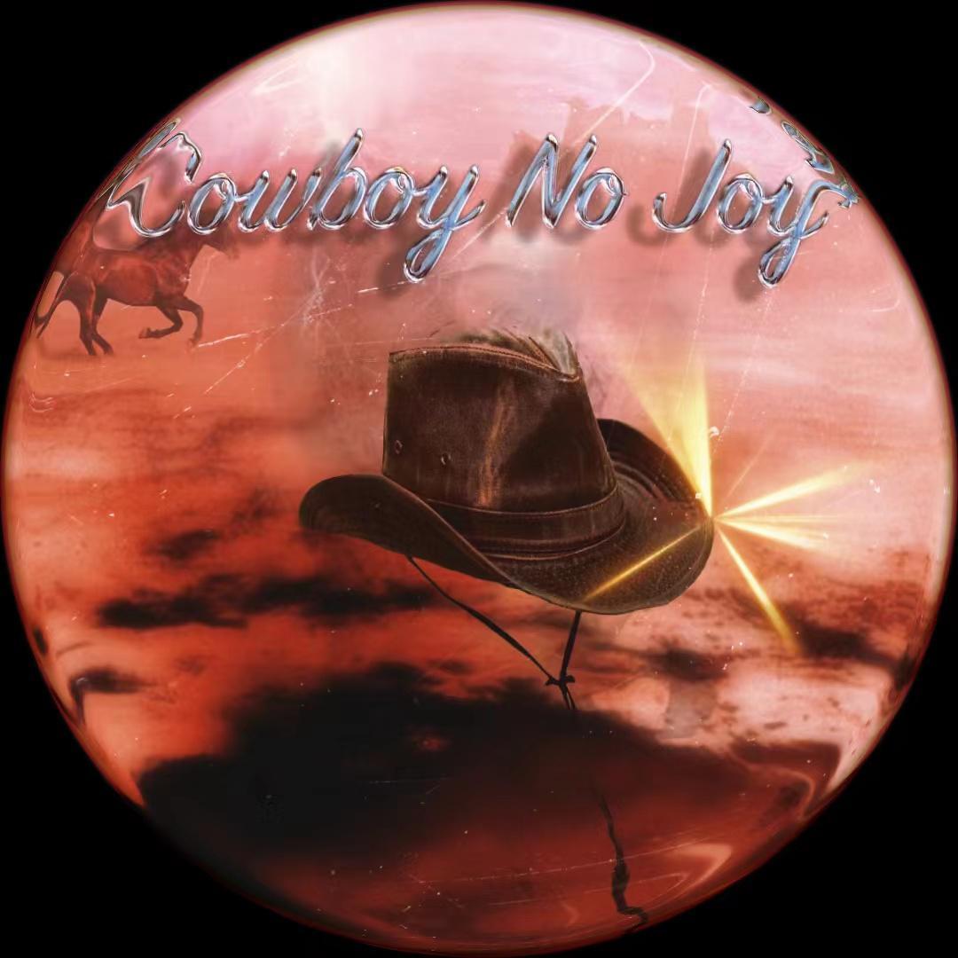 Cowboy No Joy