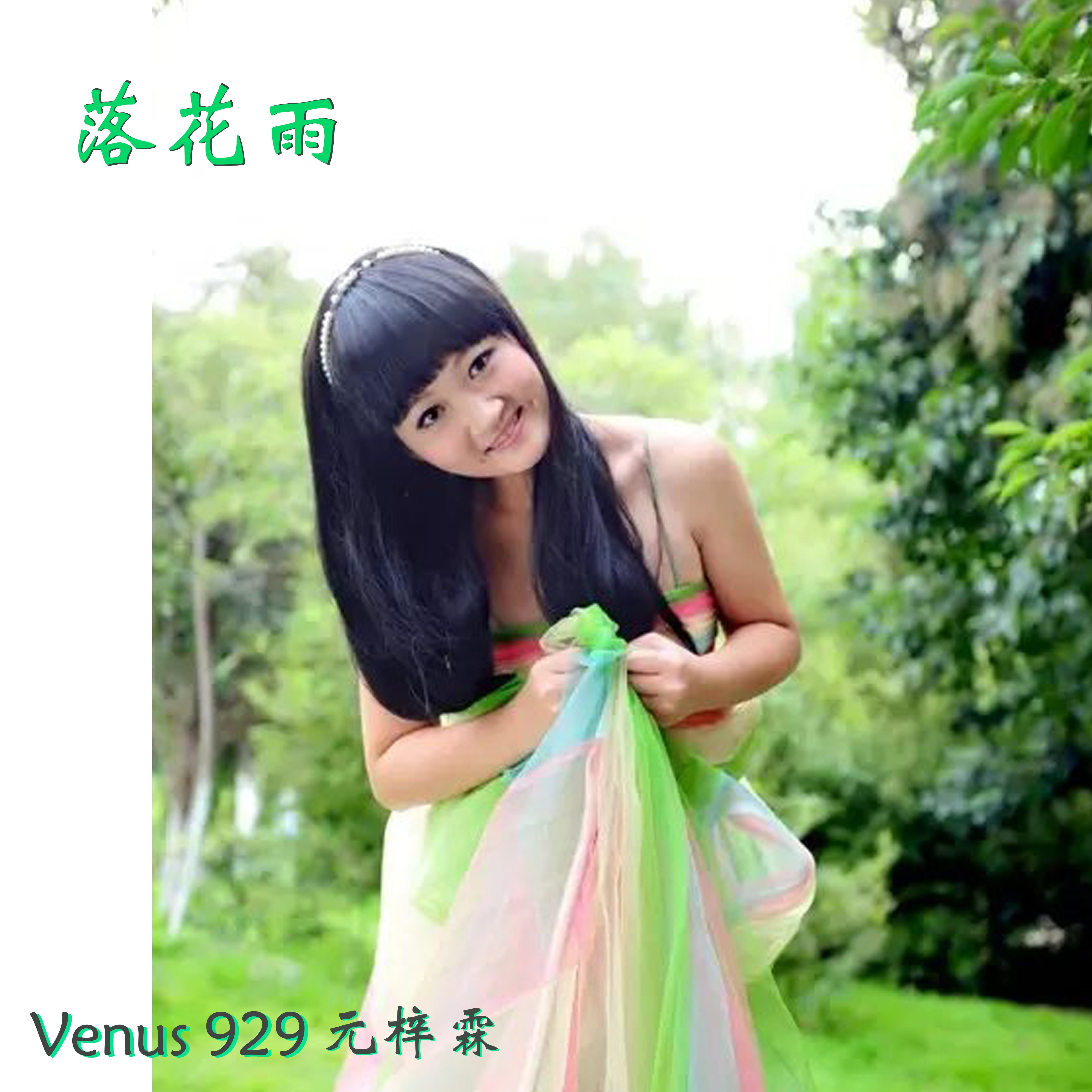 落花雨封面