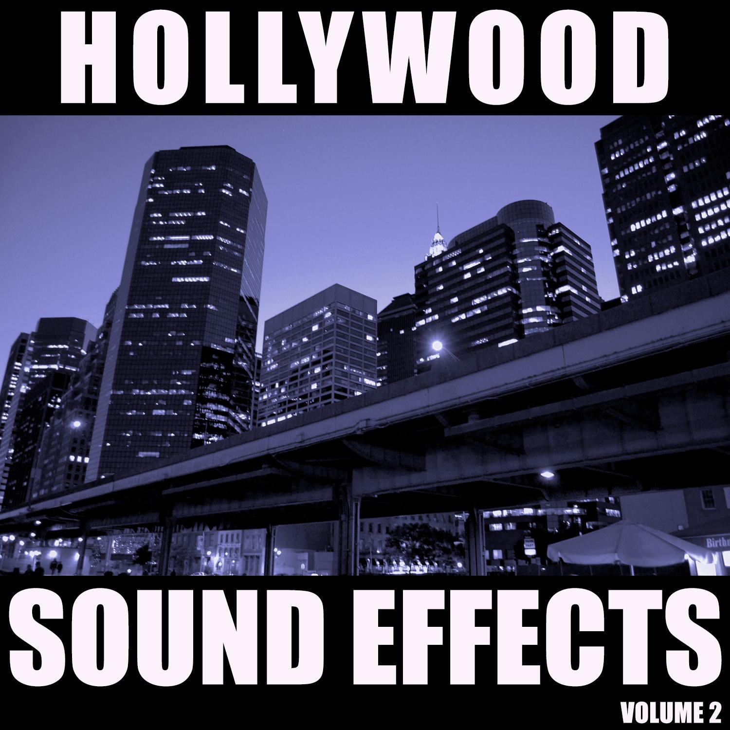 Hollywood Sound Effects Library 热门50单