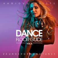 Dance Floor Guide (25 Underground Tunes), Vol. 2