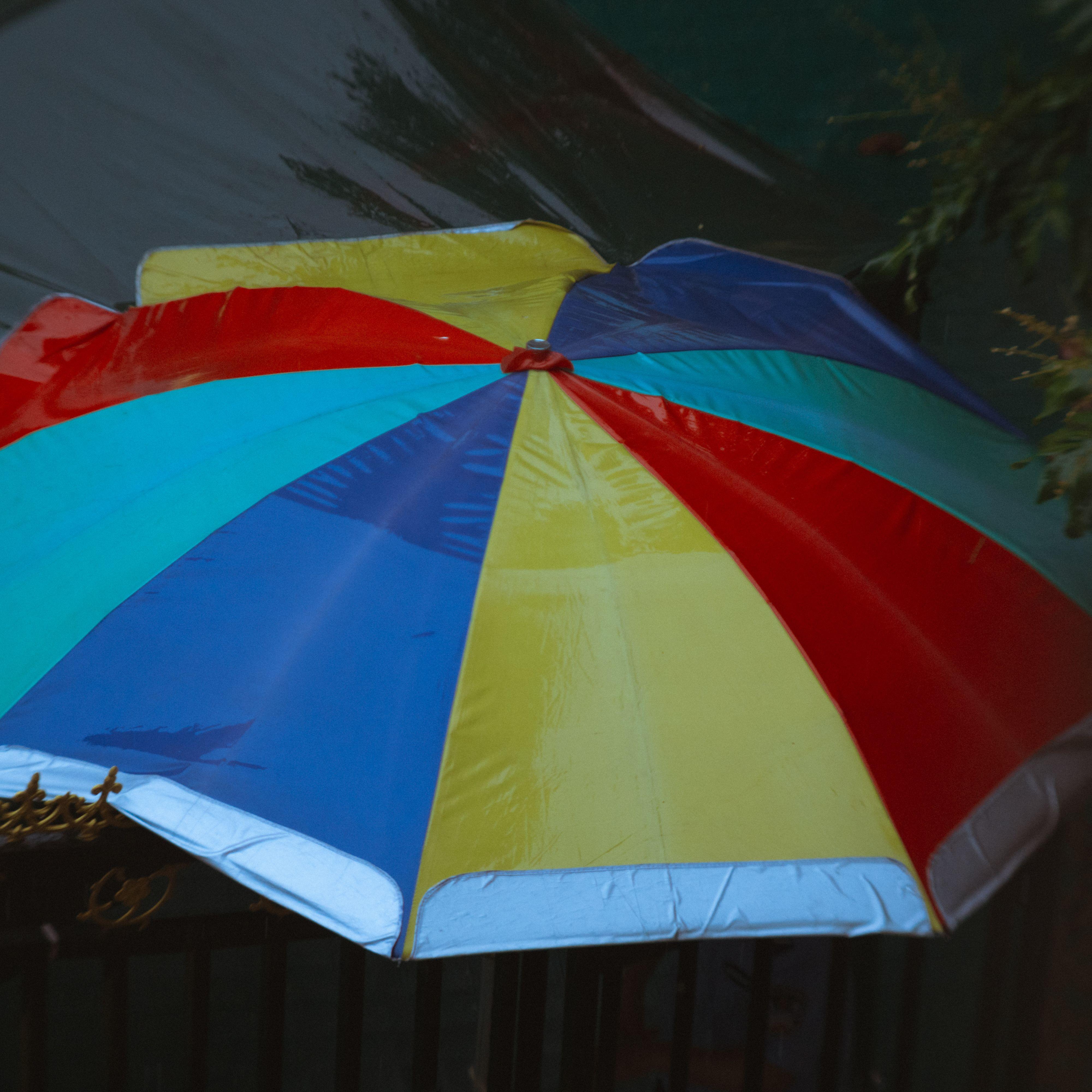 我是谁 / 狼殿下