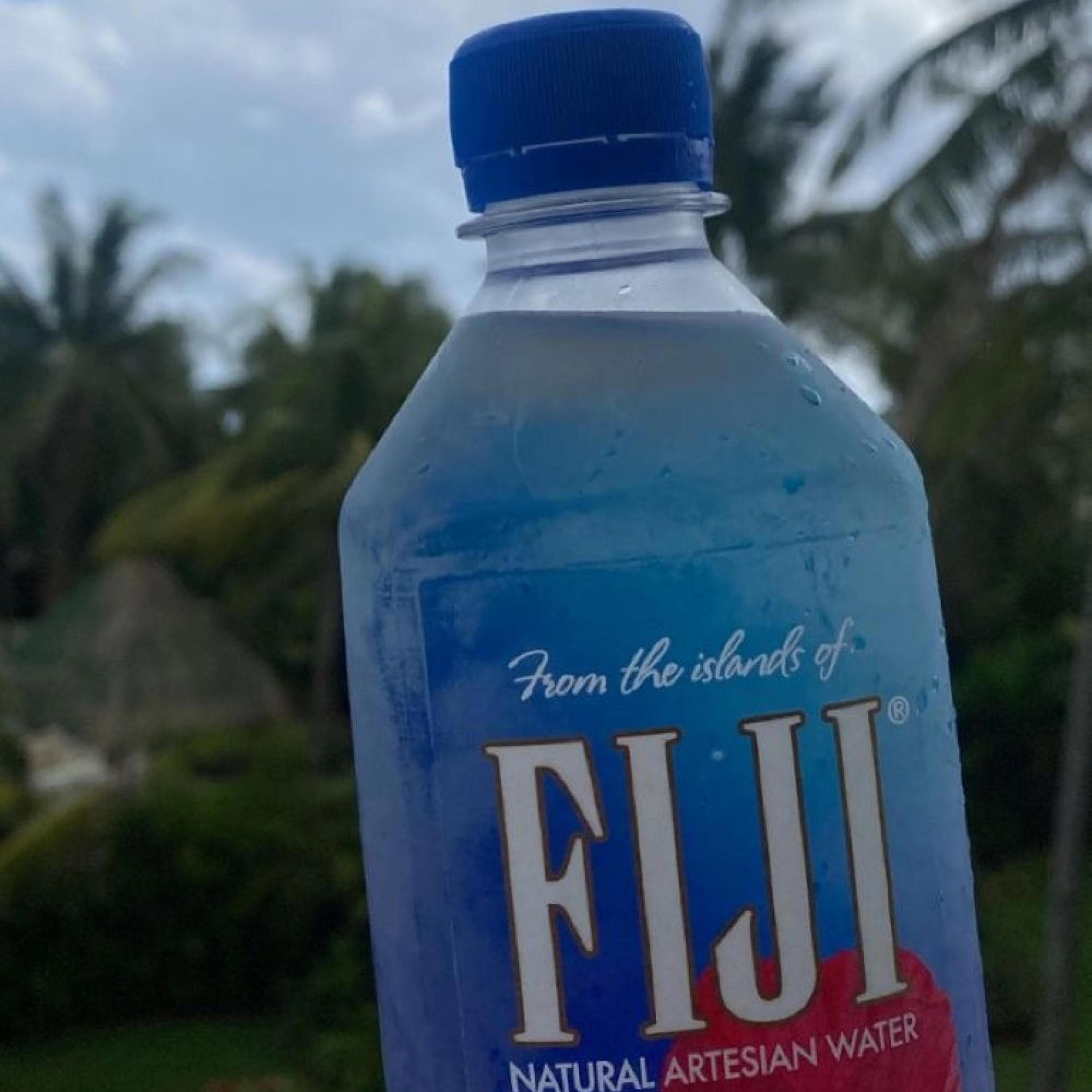 FIJI (feat. talinwya)