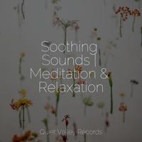 Soothing Sounds | Meditation & Relaxation
