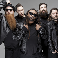 Skindred