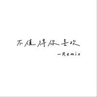 不值得你喜欢（DJ沈乐版）
