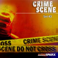 Crime Scene, Set 43