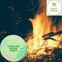 Scenic Fire Nature World