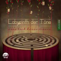 Labyrinth der Töne, Vol. 9 - Deep & Tech-House Music