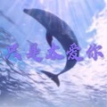 有何不可 (DJ版)封面
