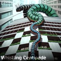 Whistling Centipede