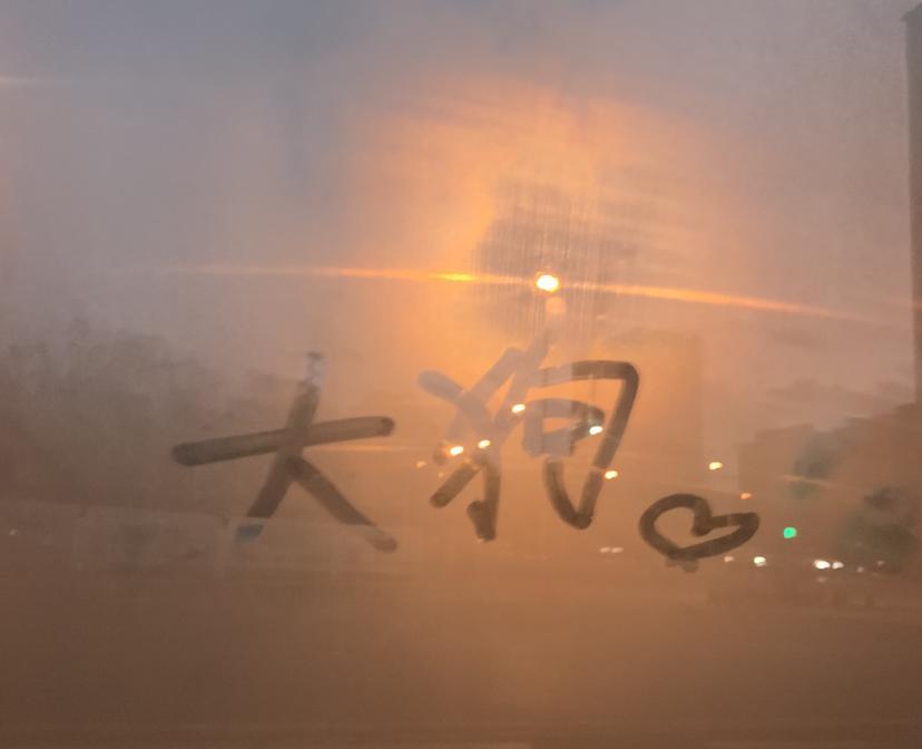 K1ttydog