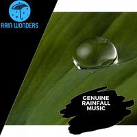 Genuine Rainfall Music