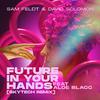 Sam Feldt - Future In Your Hands (feat. Aloe Blacc) [Skytech Remix]