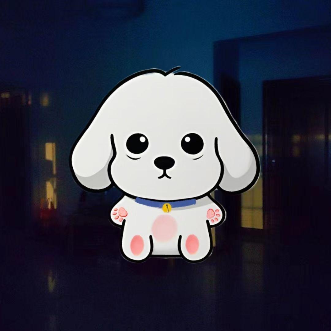 我是我的.封面
