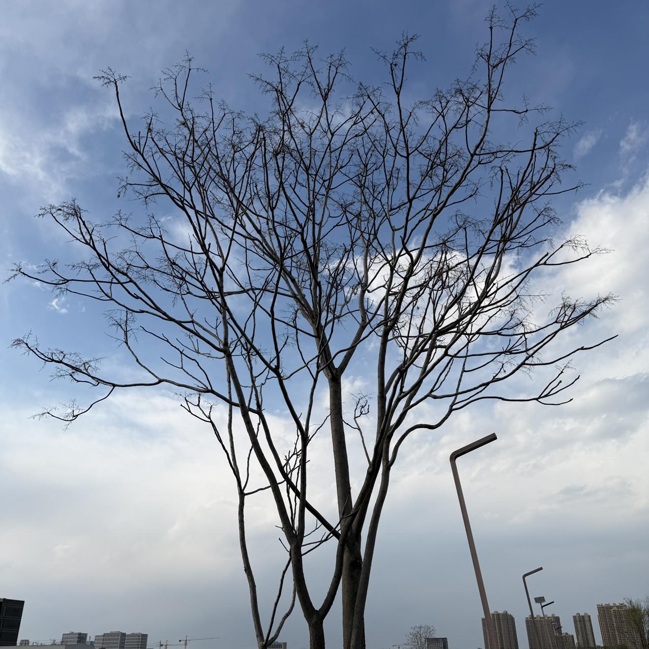 放手封面