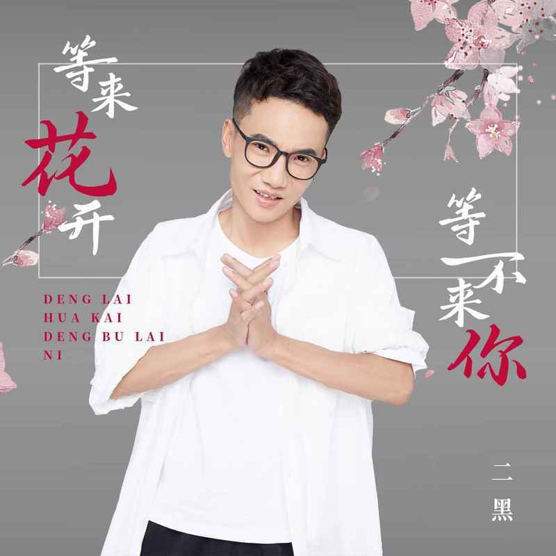 等来花开等不来你 (DJ版) - 二黑封面