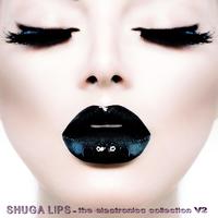 Shuga Lips: The Electronica Collection, Vol. 2