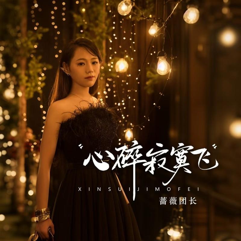 心碎寂寞飞 (和声伴奏) - 蔷薇团长封面