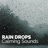 Rain Drops: Calming Sounds