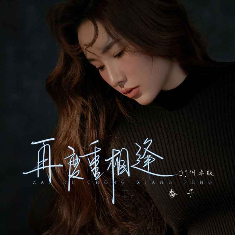 再度重相逢 (DJ阿卓版)封面