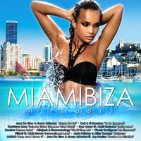 Miamibiza Hits 2012