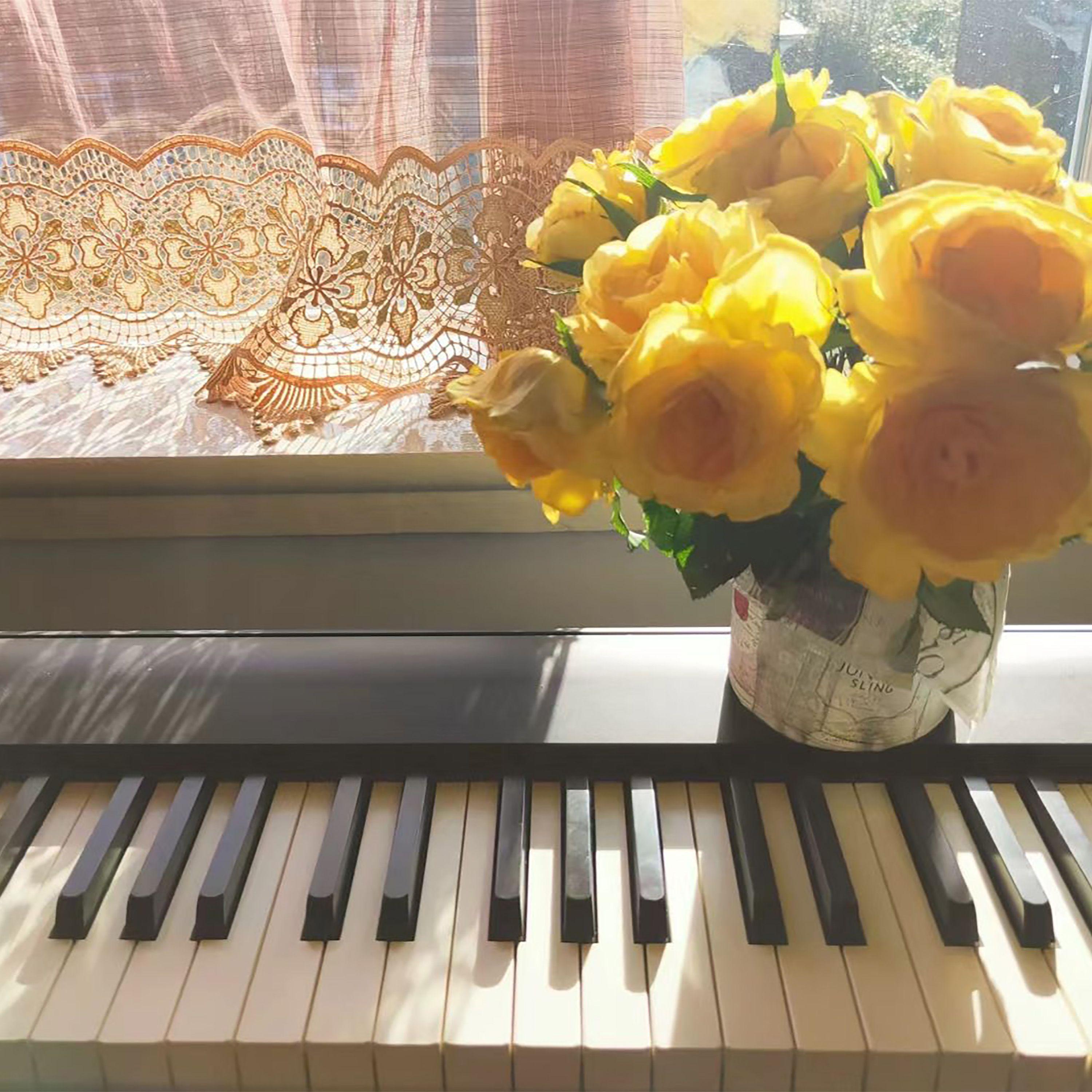 舒伯特 音乐瞬间（沉浸无损钢琴版）