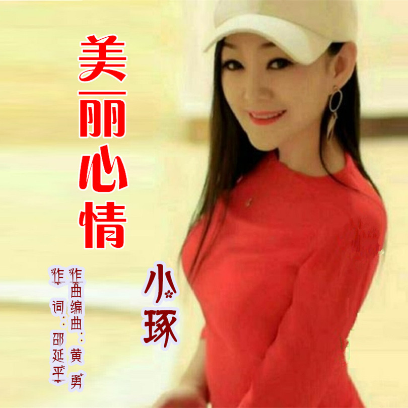 美丽心情 (伴奏)封面