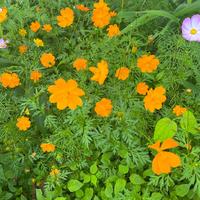 小口口资料,小口口最新歌曲,小口口MV视频,小口口音乐专辑,小口口好听的歌