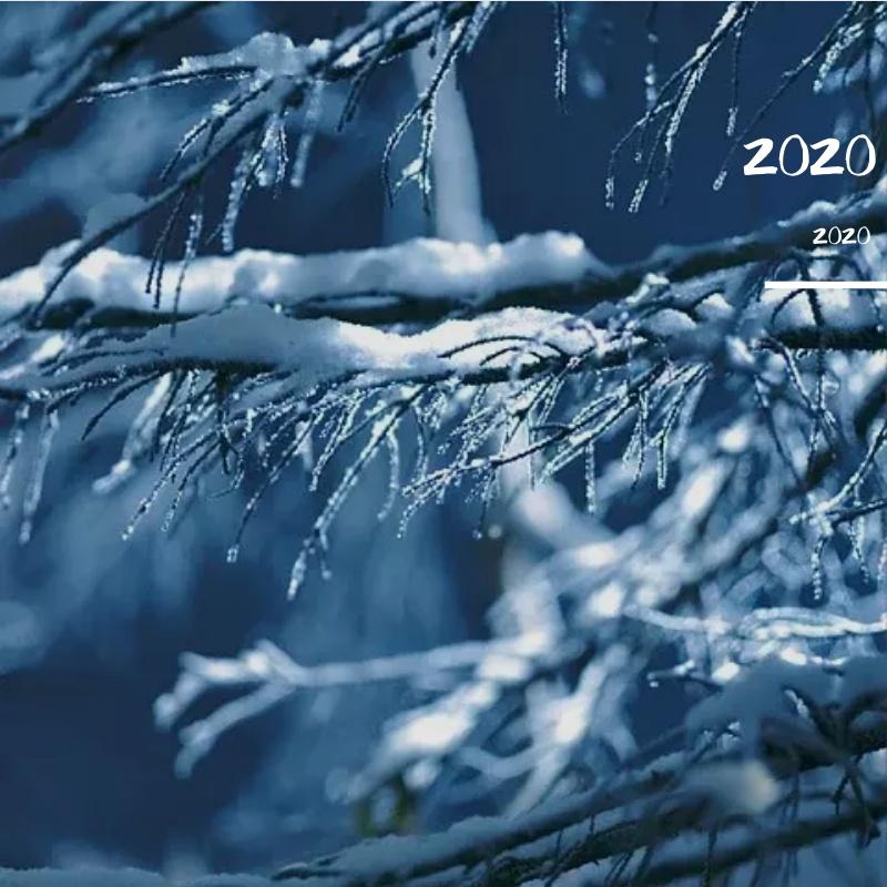 棠梨煎雪伴奏封面