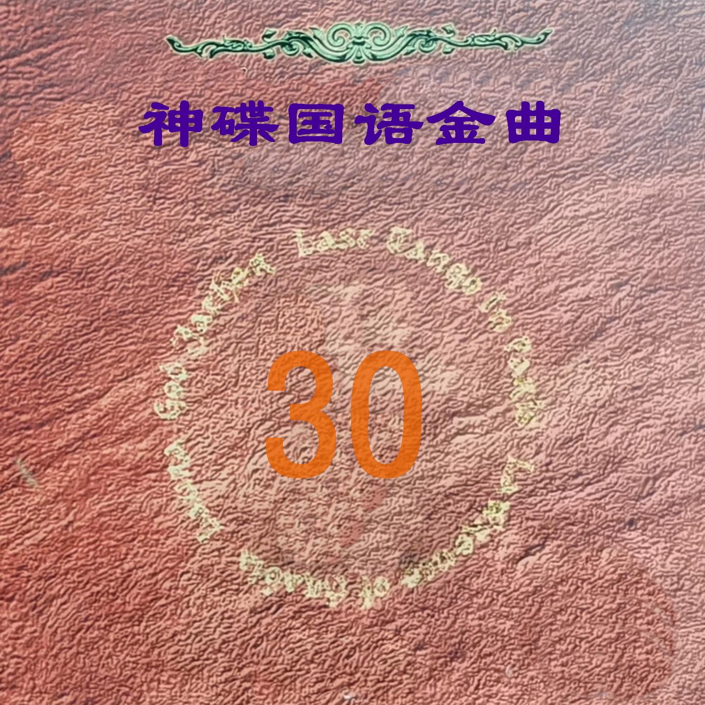 记不住你的容颜封面