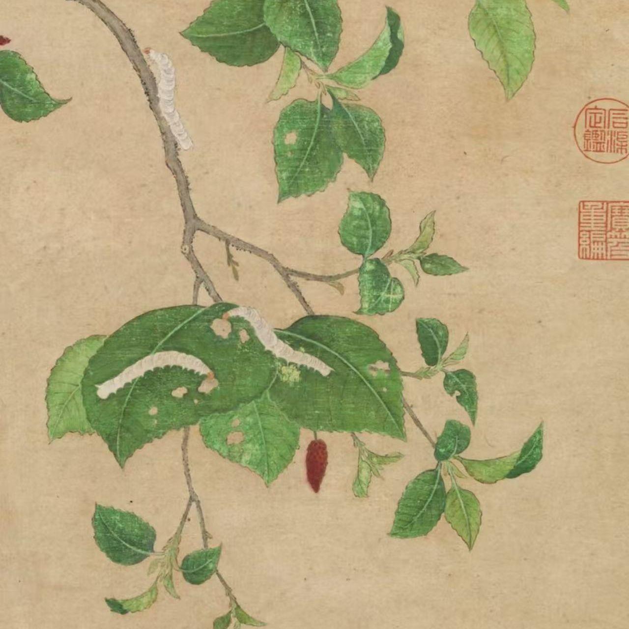 春蚕封面