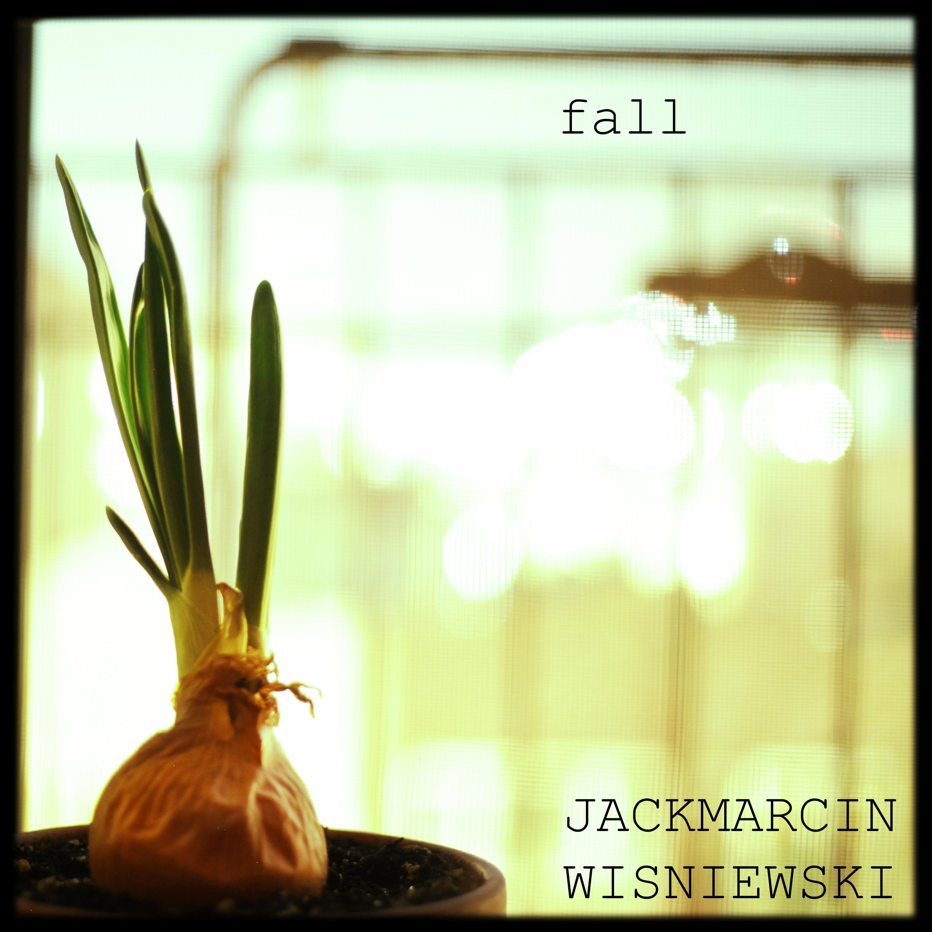 Fall_Jack Marcin Wisniewski_Fall | 在线播放_Fall歌词_Fall下载 | 网易云音乐