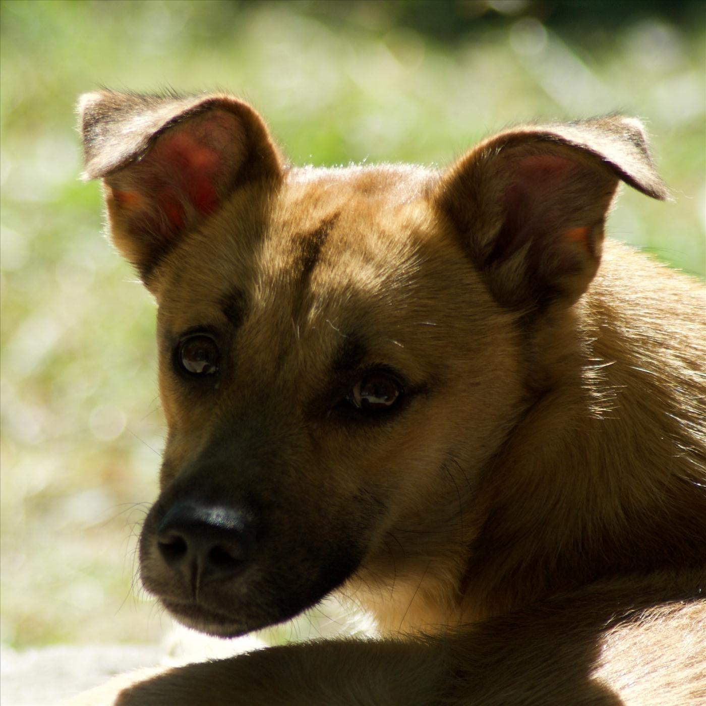 Me Están Velando Hoy